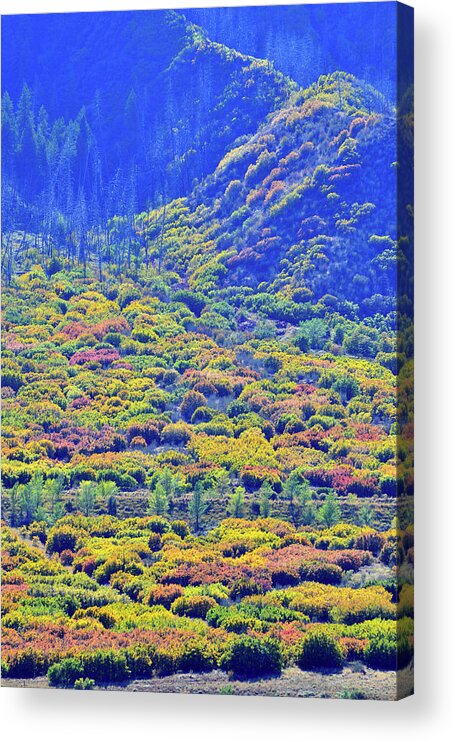 Colorado Acrylic Print featuring the photograph Glenwood Springs Fall Color Spectacle by Ray Mathis