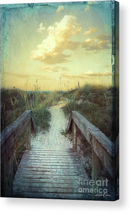 Beach Acrylic Print featuring the photograph Golden Pathway by Linda Olsen