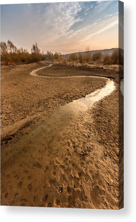 Landscape Acrylic Print featuring the photograph Golden stream by Davorin Mance