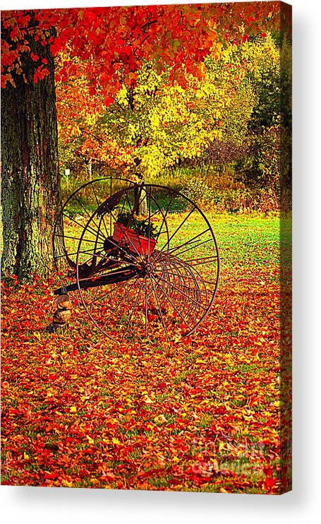 Diane Berry Acrylic Print featuring the photograph Gone with the Wind by Diane E Berry