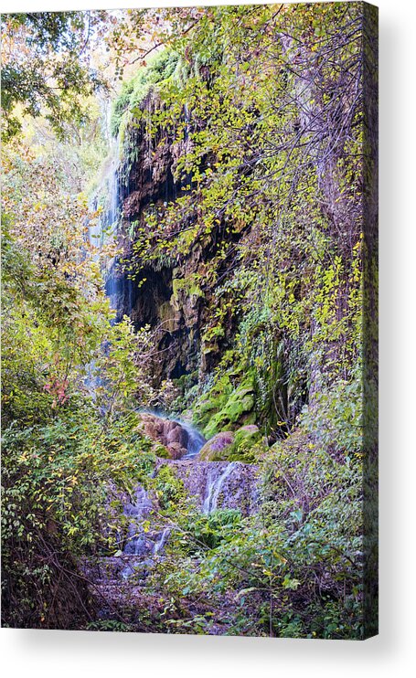 Central Acrylic Print featuring the photograph Gorman Falls at Colorado State Park III - San Saba Texas Hill Country by Silvio Ligutti