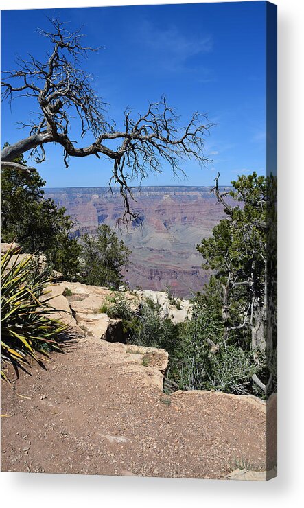Grand Canyon Acrylic Print featuring the photograph Grand Canyon 2 by Aimee L Maher ALM GALLERY