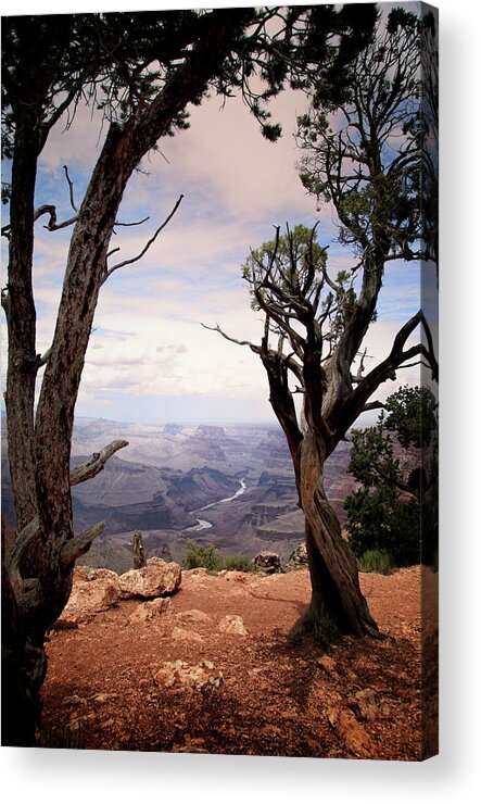 Grand Canyon Acrylic Print featuring the photograph Grand Canyon, AZ by James Bethanis