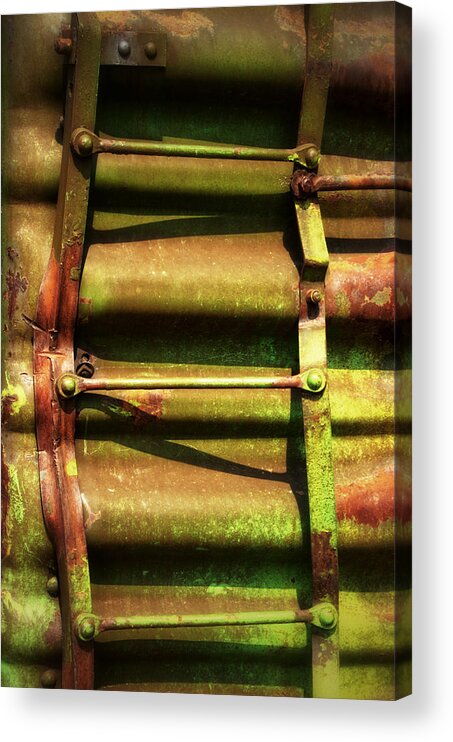Newel Hunter Acrylic Print featuring the photograph Green Ladder by Newel Hunter