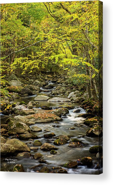 Greenbrier In Great Smoky National Park Acrylic Print featuring the photograph Greenbrier by Peg Runyan