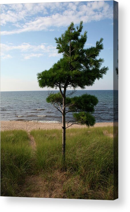 Greetings To The Beach Acrylic Print featuring the photograph Greetings to the Beach by Dylan Punke