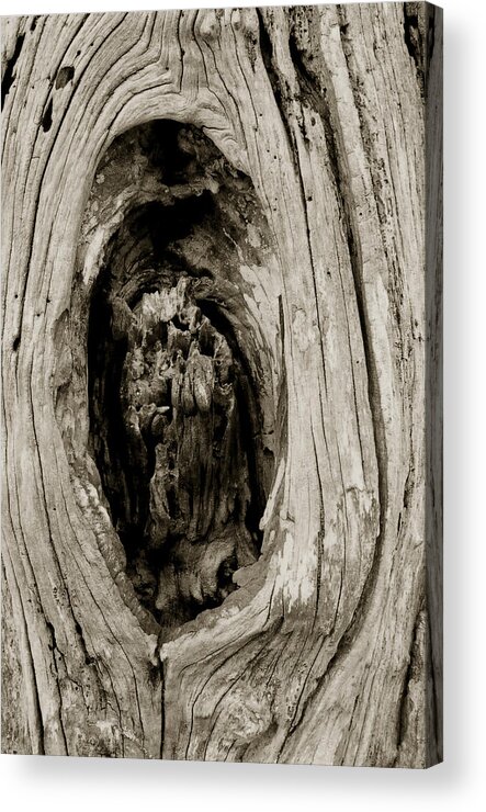 Wood Acrylic Print featuring the photograph Grooves by Amarildo Correa