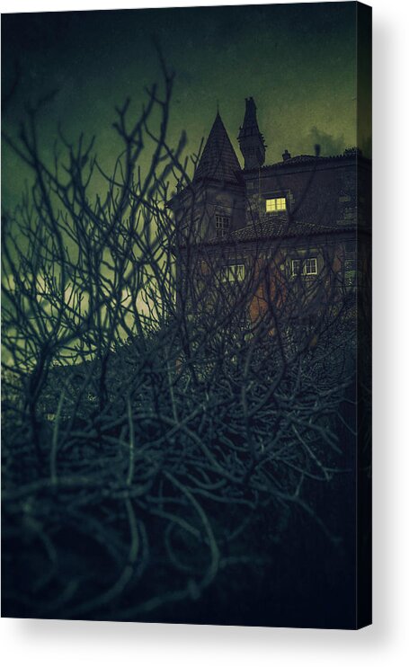 Abandoned Acrylic Print featuring the photograph Haunted Mansion by Carlos Caetano