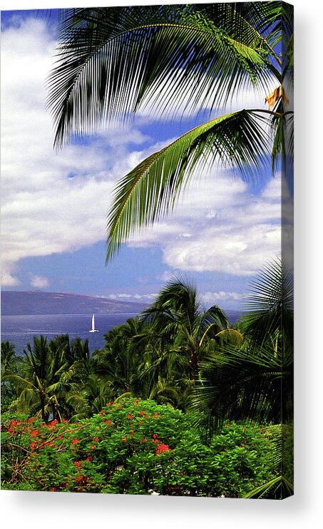 Hawaii Acrylic Print featuring the photograph Hawaiian Fantasy by Marie Hicks