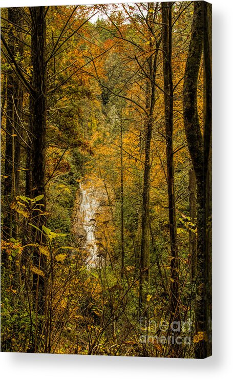 Helton Falls Acrylic Print featuring the photograph Helton Falls through the leaves by Barbara Bowen