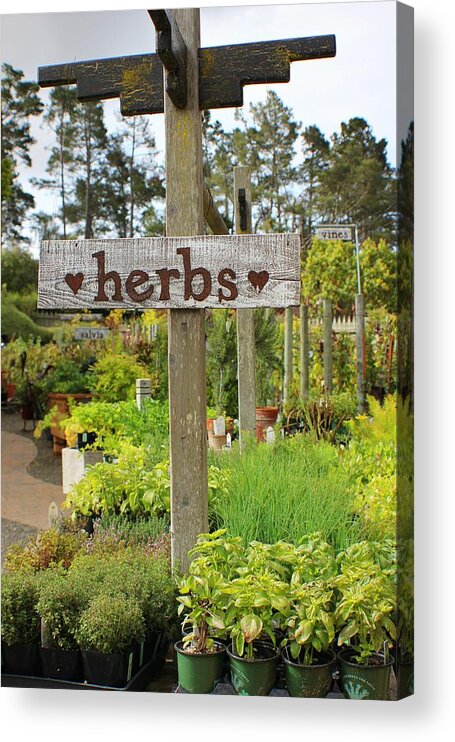 Landscapes Acrylic Print featuring the photograph Herb Lives Here by Douglas Miller