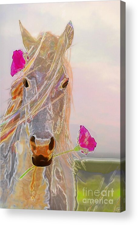 Horse Acrylic Print featuring the photograph Hi Ho Silver by Uldra Johnson
