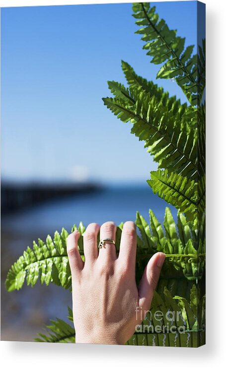 Oasis Acrylic Print featuring the photograph Hidden Beach Oasis by Jorgo Photography