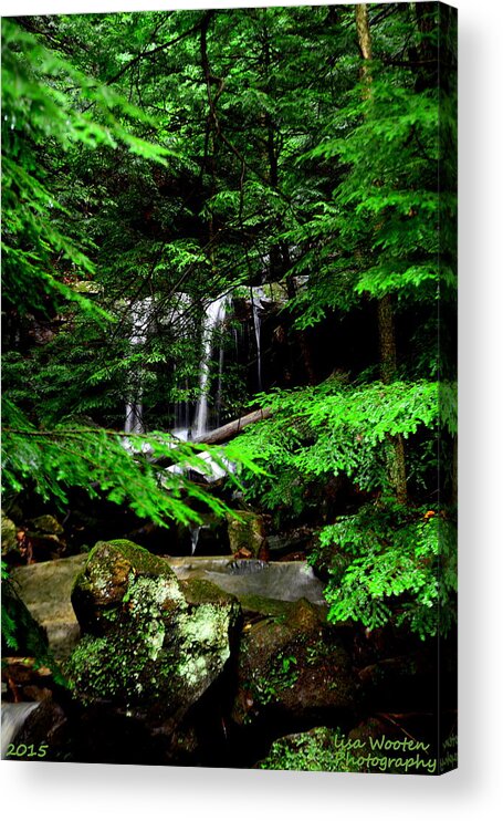 Mcconnell Mill State Park Pa Acrylic Print featuring the photograph Hidden Beauty by Lisa Wooten
