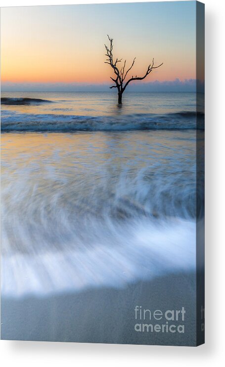 Tree Acrylic Print featuring the photograph High Water by Harry B Brown