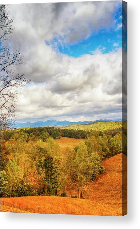 Hillside Acrylic Print featuring the photograph Hill With A View Vertical by Lorraine Baum