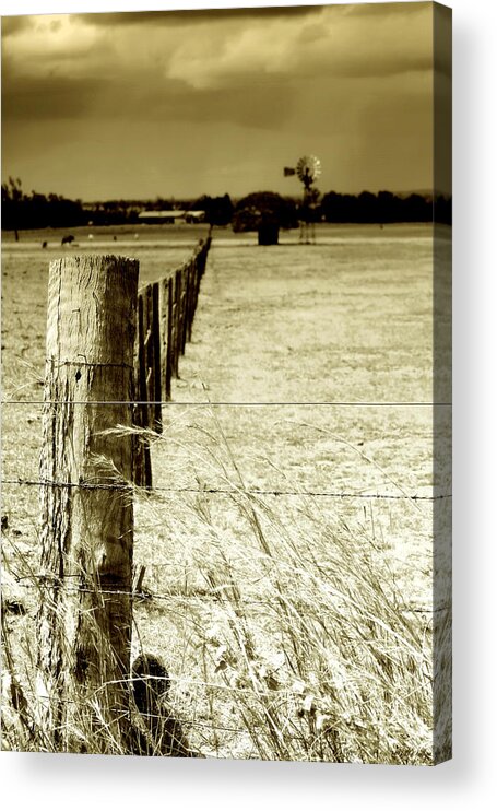 Landscape Acrylic Print featuring the photograph Homeward Bound by Holly Kempe