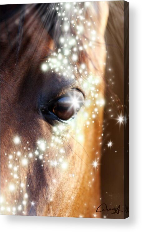 Portrait; Face; Eye; Head; Nature; Abstract; Mouth; Winter; Wet; Young; Animal; Sunlight; Vertical; Color Image; Blur; Large; Shiny; Animal Wildlife; Animals In The Wild; Season; Animal Themes Acrylic Print featuring the digital art Horse by Cepiatone Fine Art Callie E Austin