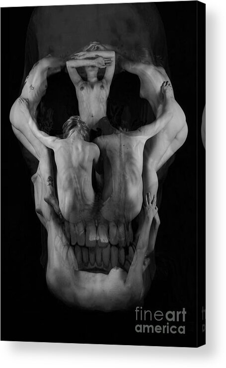 Artistic Photographs Acrylic Print featuring the photograph Human skull by Robert WK Clark