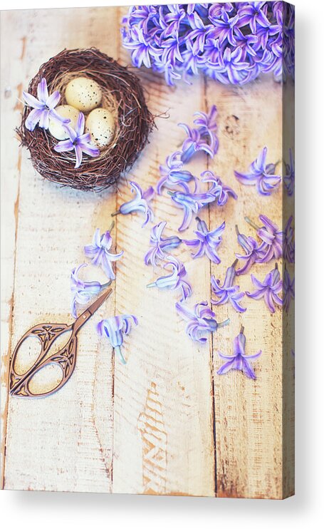 Hyacinth Acrylic Print featuring the photograph Hyacinth Flowers and Nest by Susan Gary