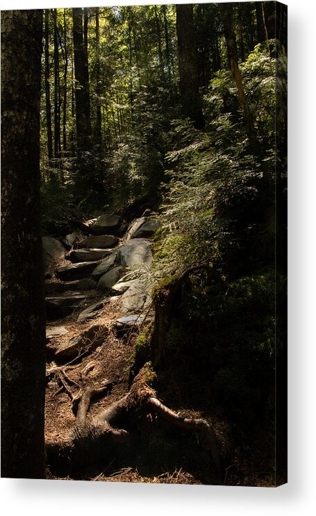 Maine Acrylic Print featuring the photograph I Will Light Your Way by Holly Ross