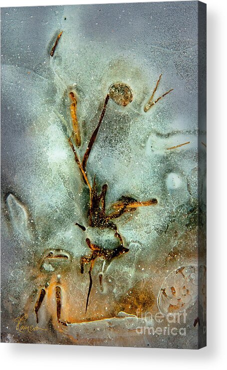 Abstract Acrylic Print featuring the photograph Ice Abstract by Tom Cameron