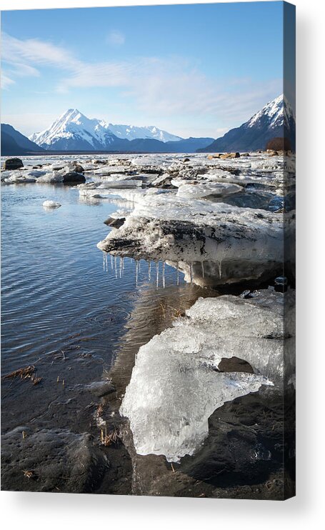 Chilkat Estuary Acrylic Print featuring the photograph Ice chunks in the Chilkat Estuary by Michele Cornelius