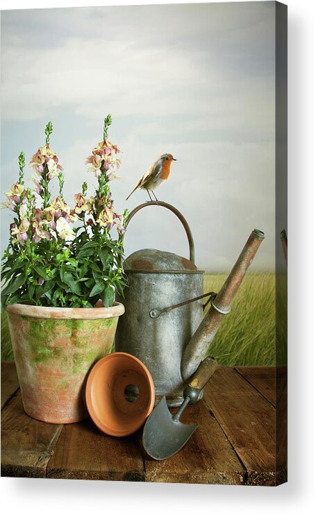 Garden Acrylic Print featuring the photograph In The Vintage Garden by Ethiriel Photography