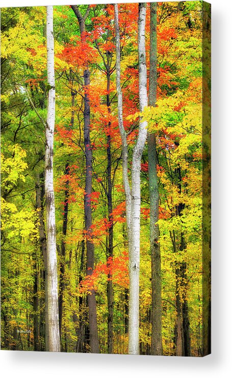 Fall Trees Acrylic Print featuring the photograph Indian Summer by Christina Rollo