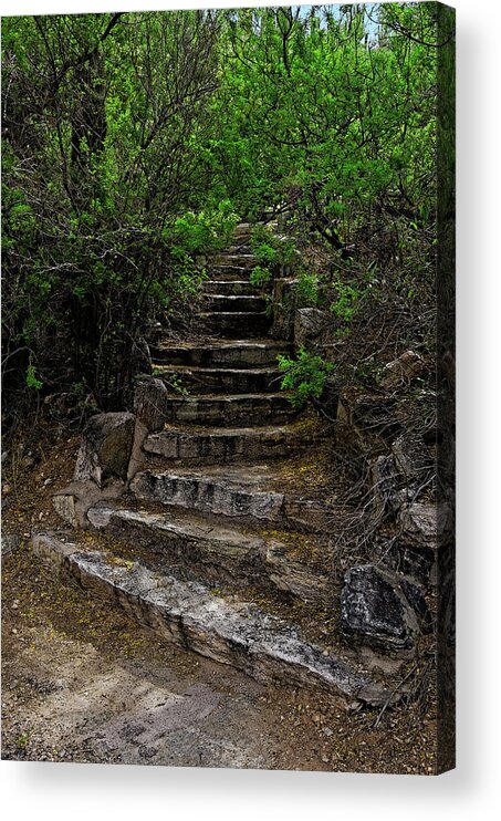 Myhaver Photography Acrylic Print featuring the photograph Instep With Nature v53 by Mark Myhaver