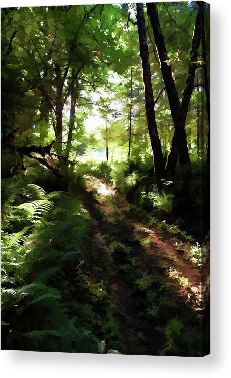 Trail Acrylic Print featuring the photograph Into the Forest Light by Sherrie Triest
