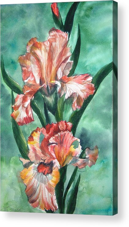 Iris Acrylic Print featuring the painting Iris Fire by Bonnie Peacher
