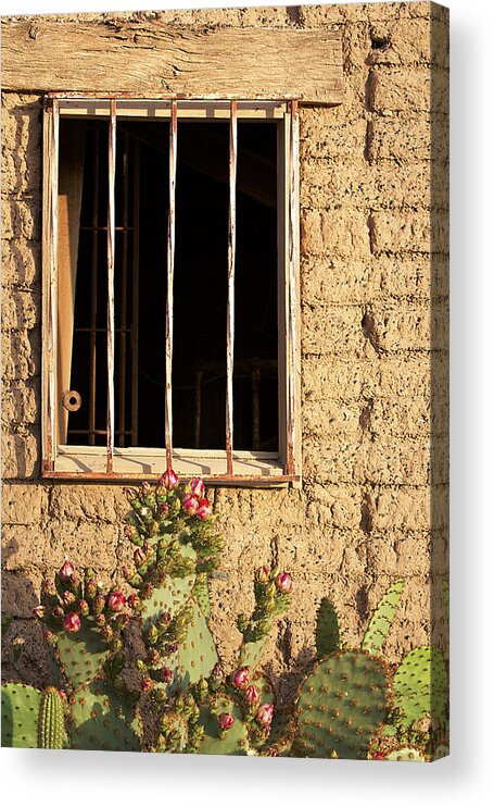 Window Acrylic Print featuring the photograph Jailhouse Window by Phyllis Denton