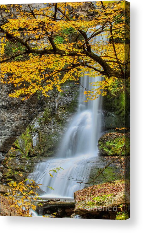 Art Acrylic Print featuring the photograph Japanese Falls by Phil Spitze