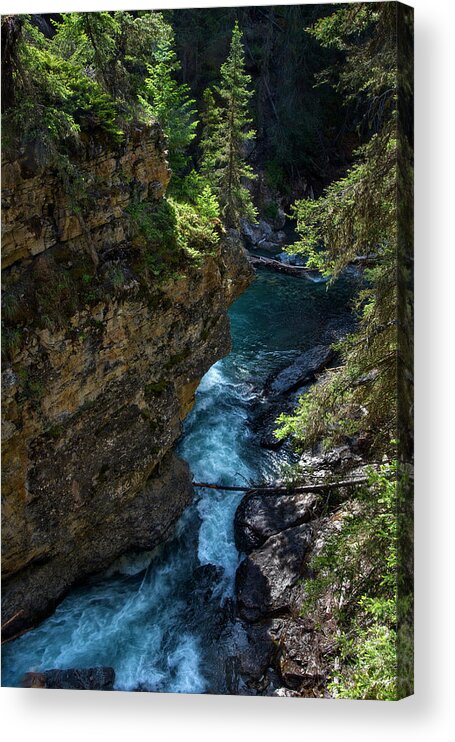 Banff Acrylic Print featuring the photograph Johnson Canyon in Banff National Park, Canada by Dave Dilli