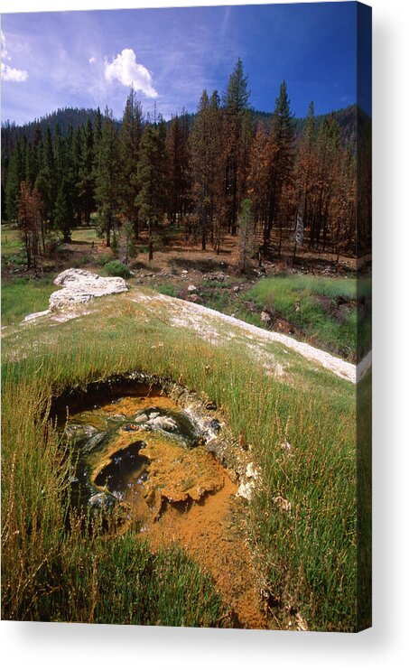 Jordan Hot Springs Acrylic Print featuring the photograph Jordan Hot Springs by Soli Deo Gloria Wilderness And Wildlife Photography