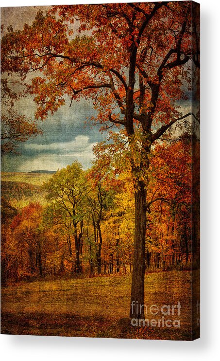Tree Acrylic Print featuring the photograph Just Another Day In Paradise. by Lois Bryan