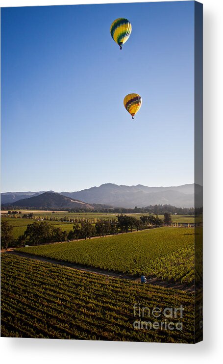 Balloons Acrylic Print featuring the photograph Just the Two of Us by Ana V Ramirez