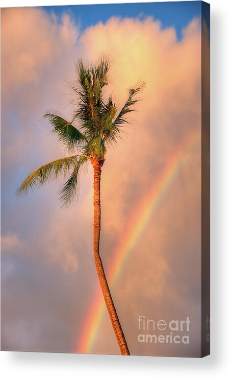 Kahekili Beach Park Acrylic Print featuring the photograph Kahekili Beach Park Rainbow Palm by Kelly Wade