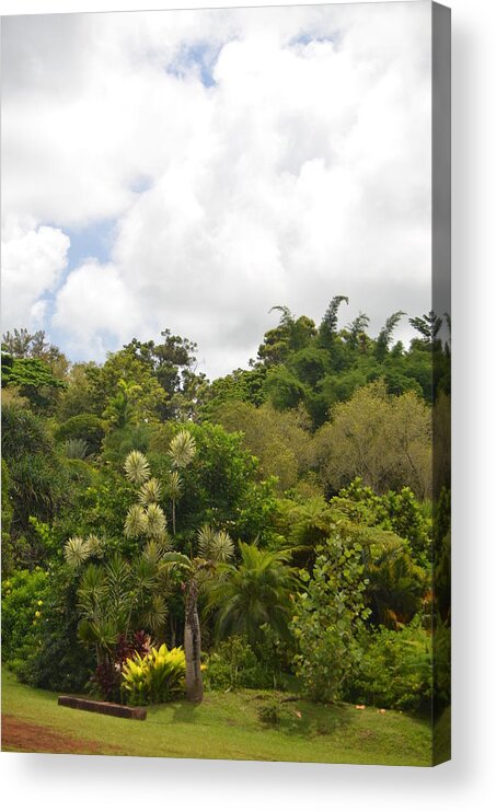 Kauai Acrylic Print featuring the photograph Kauai Hindu Monastery Greenery by Amy Fose