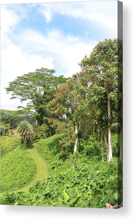 Kauai Acrylic Print featuring the photograph Kauai Hindu Monastery Trail 2 by Amy Fose
