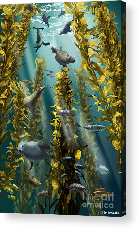 Kelp Forest Acrylic Print featuring the photograph Kelp Forest With Seals by Jim Dowdalls