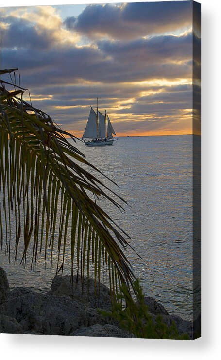 Silhouette Acrylic Print featuring the photograph Key West Cloudy Sunset Sailing by Bob Slitzan