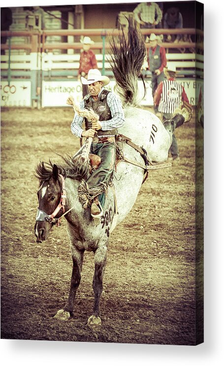 Bronco Riding Acrylic Print featuring the photograph Kicks by Caitlyn Grasso