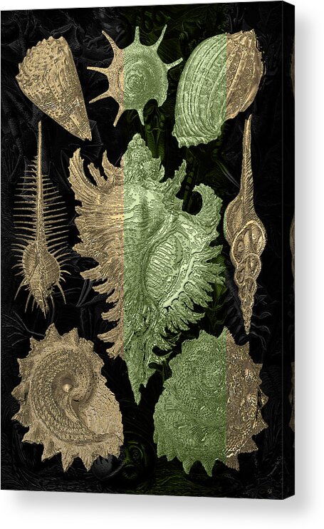 'beasts Creatures And Critters' Collection By Serge Averbukh Acrylic Print featuring the digital art Kingdom of Golden Seashells by Serge Averbukh