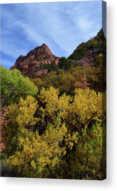 Zion Acrylic Print featuring the photograph Kolob Canyon No. 63 by Sandy Taylor