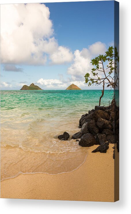 Lanikai Kailua Oahu Hawaii Beach Park Seascape Acrylic Print featuring the photograph Lanikai Beach 1 - Oahu Hawaii by Brian Harig