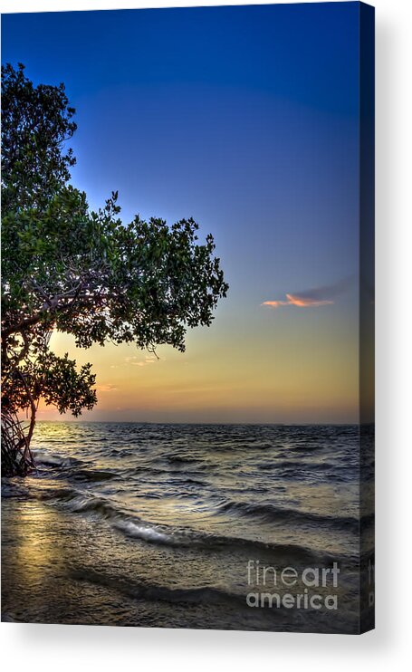 Cove Acrylic Print featuring the photograph Last Light by Marvin Spates
