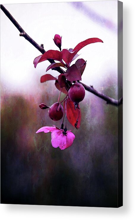 Trees Acrylic Print featuring the photograph Late to the Party 5577 DP_2 by Steven Ward