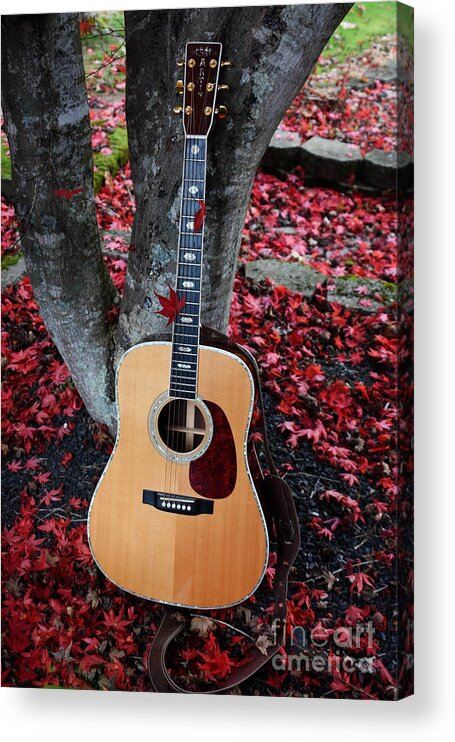 Outdoors Acrylic Print featuring the photograph Leaves In The Martin by Christal Randolph